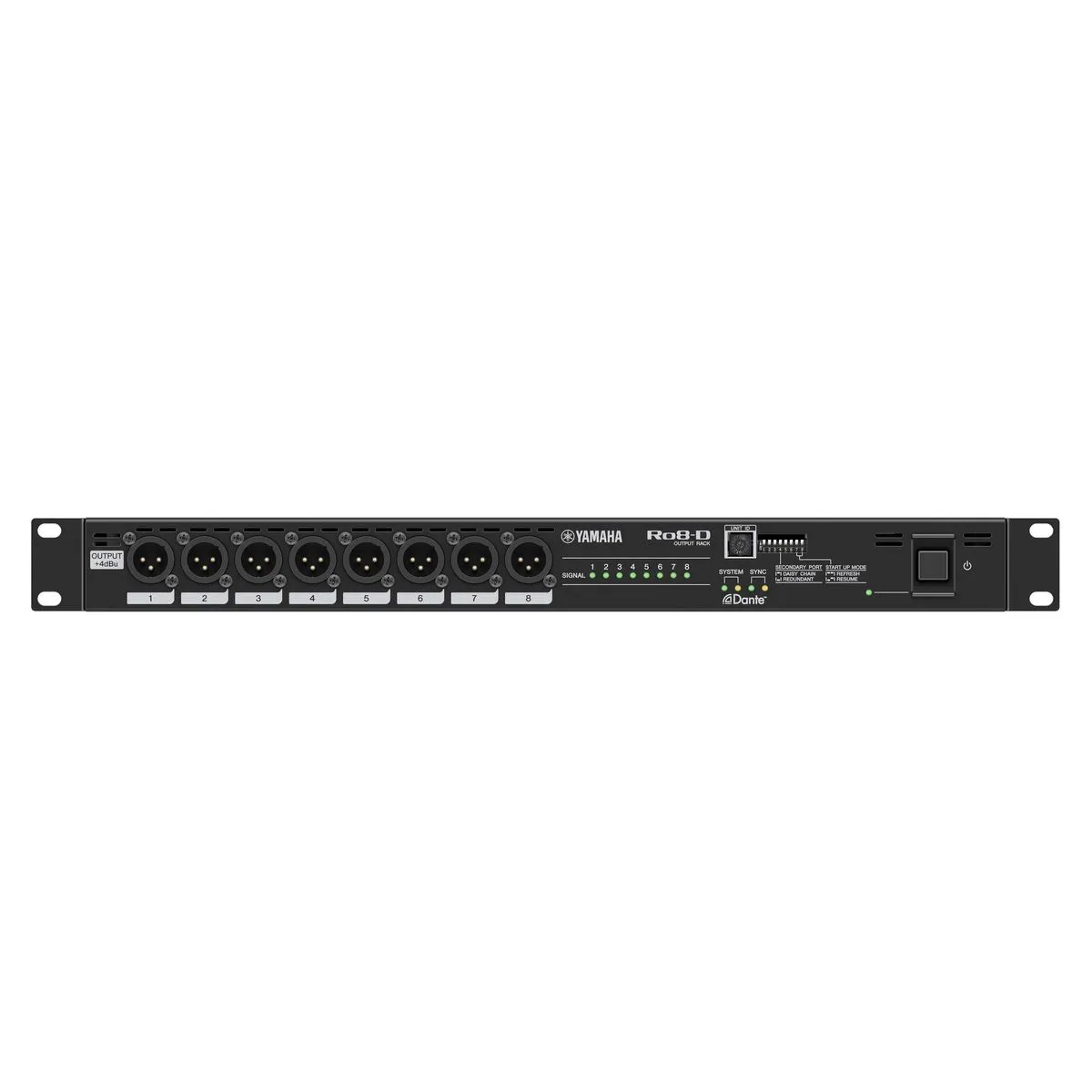 Yamaha RIO Ro8-D